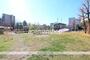 公園　桜川公園（公園）まで10m
