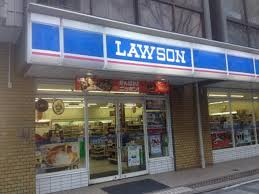 コンビニ　ローソン錦糸一丁目店（コンビニ）まで169m