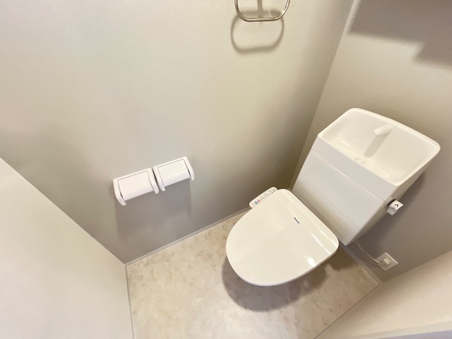 利便性良好の物件のトイレ写真