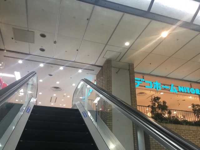 ホームセンター　ニトリデコホーム笹塚駅前店（ホームセンター）まで216m