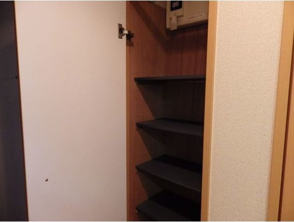 収納　※写真は同じマンションの違う部屋のものになります。