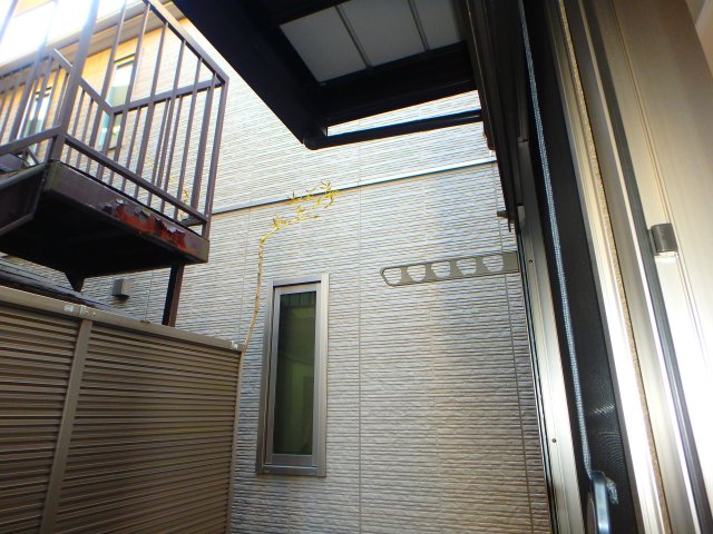 カモミールのその他写真
