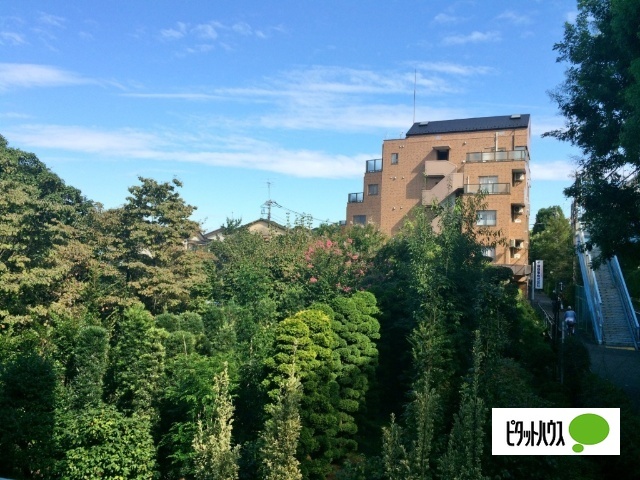 眺望　眺望