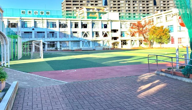 小学校　新宿区立柏木小学校（小学校）まで250m