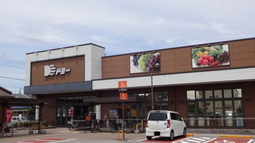 スーパー　ドミー 福岡店（スーパー）まで745m