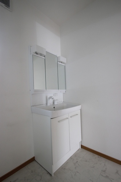 洗面設備　写真は別号室のものです。