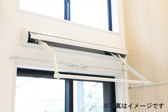 アリッサムのその他写真