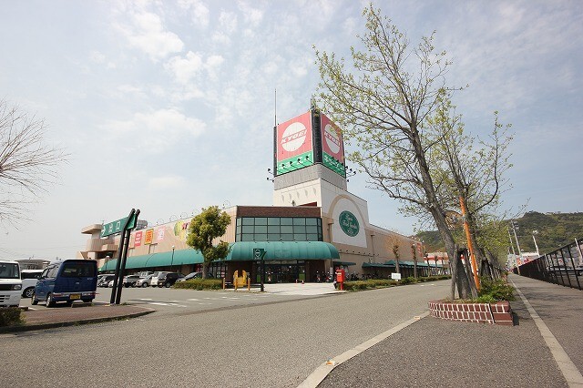 スーパー　キョーエイ小松島店（スーパー）まで716m
