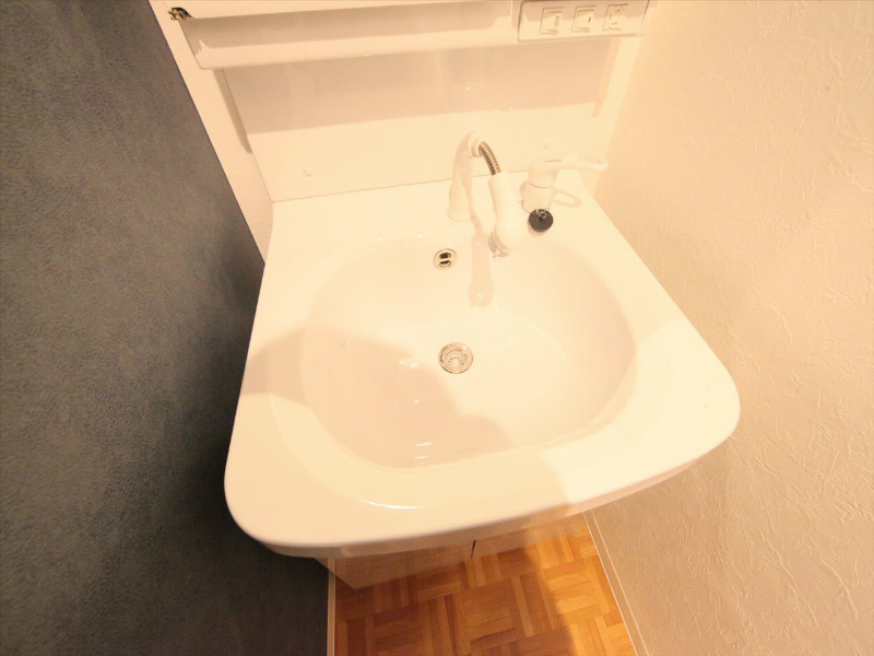 その他　シャンプードレッサー