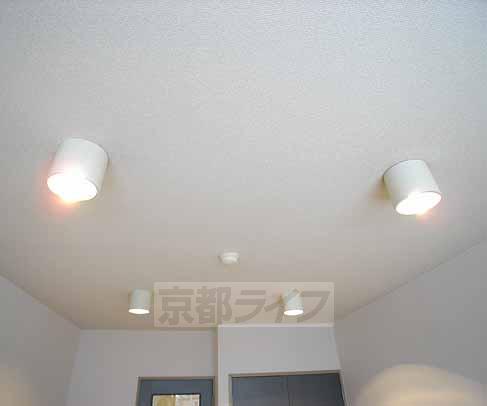 その他部屋・スペース　照明です