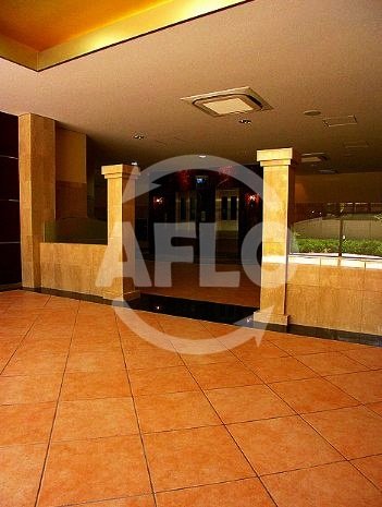 エントランス　メゾン・デ・ノムラ島之内　エントランス