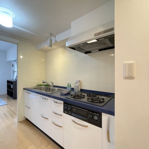 キッチン　同仕様タイプです