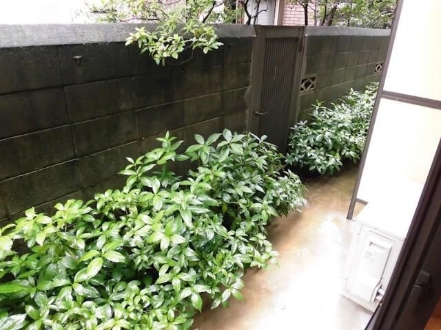 省エネ性能ラベル