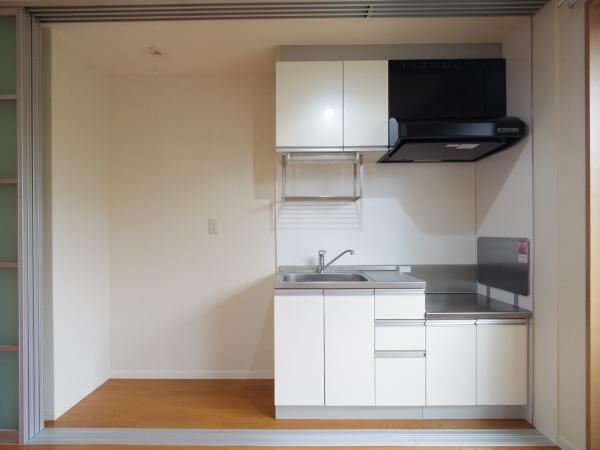 キッチン　扉を開けるとモダンでおしゃれなシステムキッチン