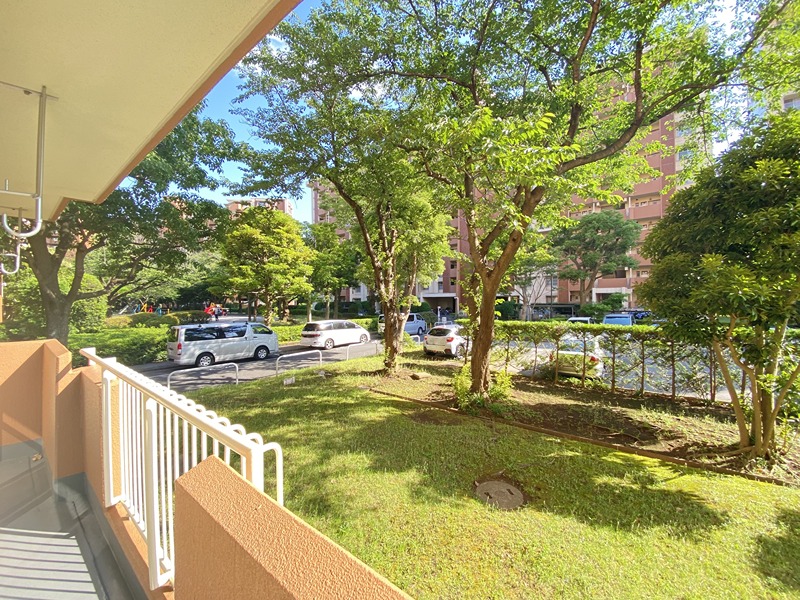 眺望　緑豊かな眺望