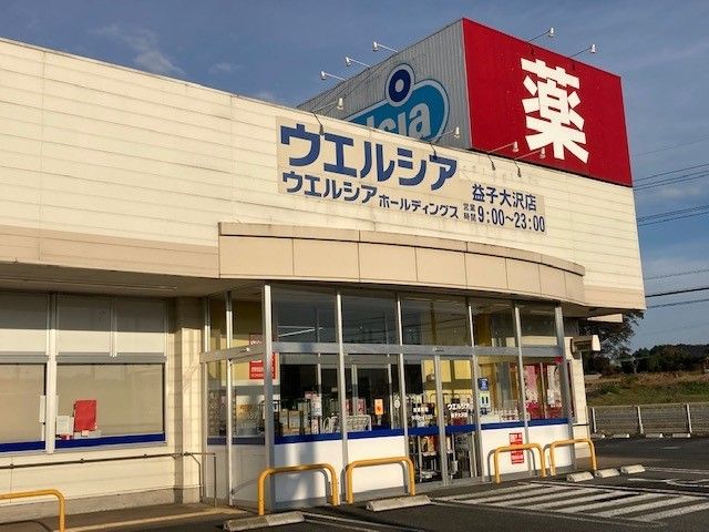 ドラックストア　ウエルシア益子大沢店（ドラッグストア）まで870m