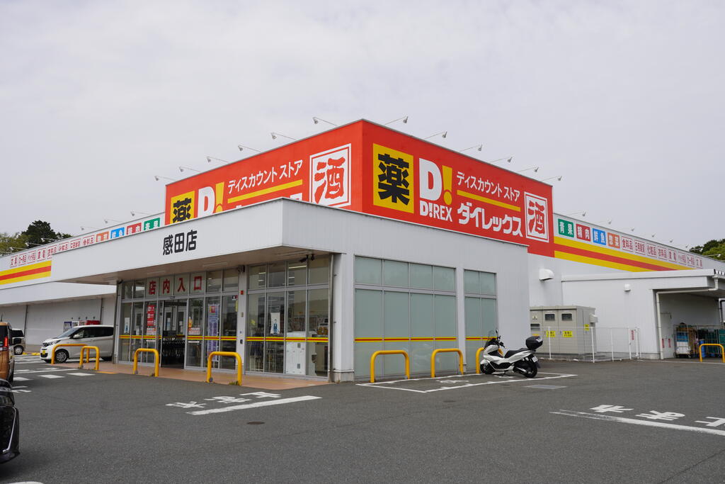 スーパー　ダイレックス感田店（スーパー）まで700m