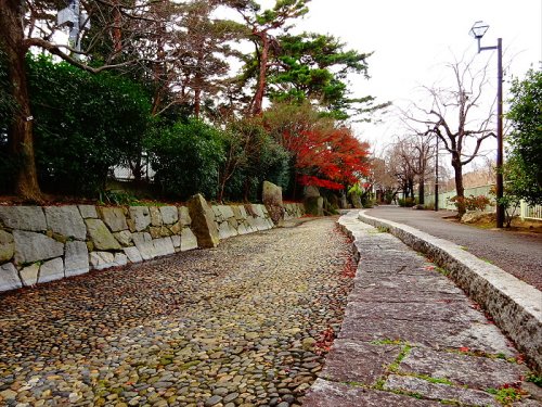 公園　藤和緑地（公園）まで1039m