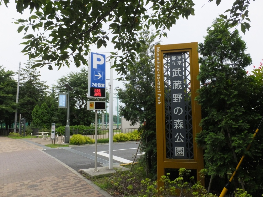 公園　東京都立武蔵野の森公園 (1)（公園）まで751m