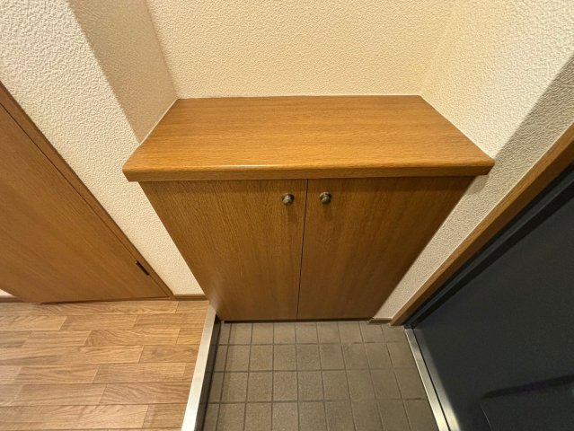 その他　詳細は、RISUMO江坂本店までお問合せください♪