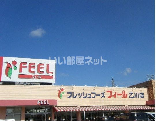 スーパー　FRESH FOODS FEEL乙川店（スーパー）まで435m