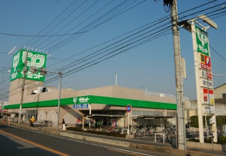 スーパー　サミットストア川口青木店（スーパー）まで146m