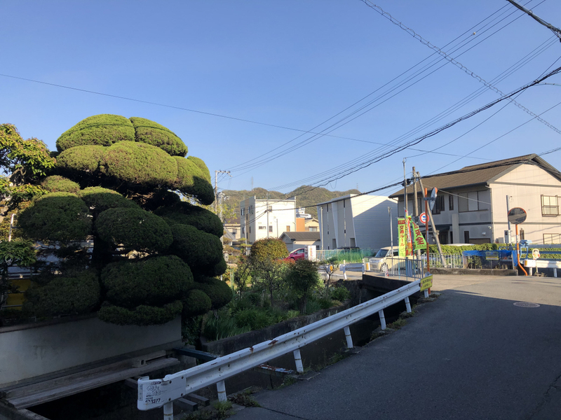 眺望
