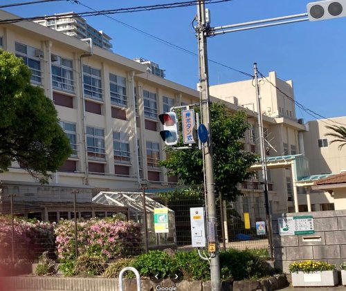 小学校　神戸市立住吉小学校（小学校）まで603m