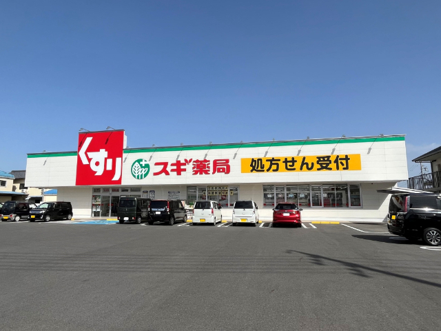 ドラックストア　スギ薬局玉垣店（ドラッグストア）まで323m