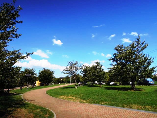 公園　広大な都立城北中央公園（公園）まで313m