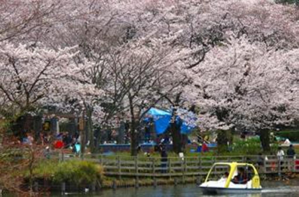公園　洗足池公園（公園）まで510m