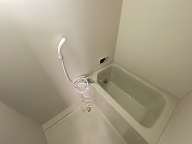バス・シャワールーム　※同物件別号室の写真になります