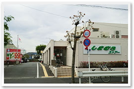 スーパー　しまむらストアーすみれ平店（スーパー）まで1009m