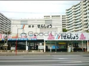 ショッピングセンター　博多せんしょう（ショッピングセンター）まで190m
