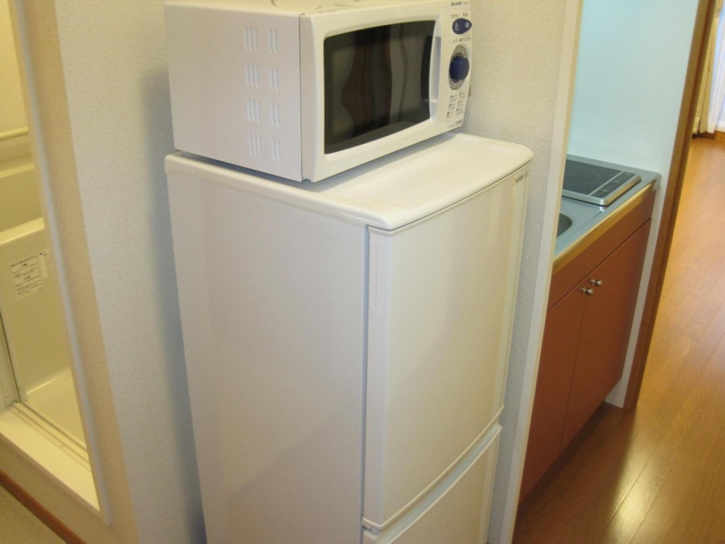 その他　冷蔵庫・電子レンジ