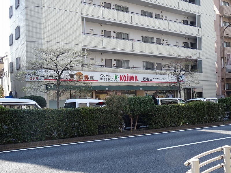 Mayfair Apartmentの周辺写真