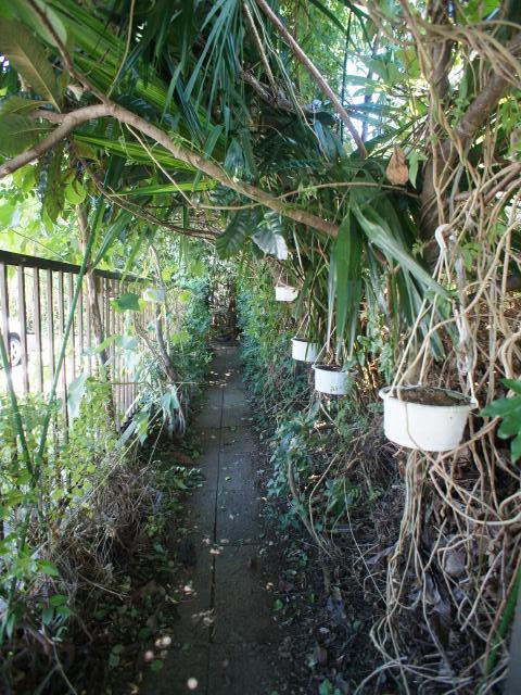 小田急線 成城学園前駅 徒歩2分 2階建 築22年の外観写真