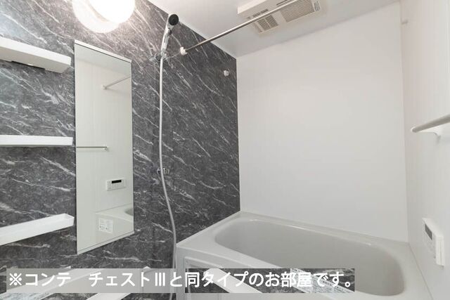パインズ グレイス-Vの風呂写真