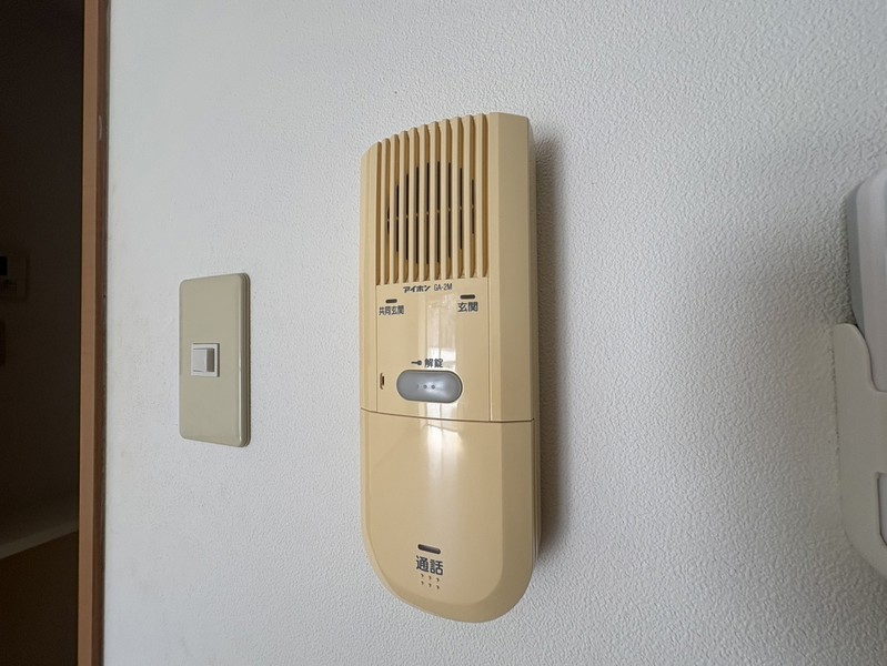 つばらつばらのその他写真