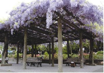 公園　八尾木北第1公園（公園）まで4806m