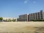 小学校　名古屋市立南陽小学校（小学校）まで151m