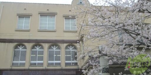 小学校　西宮市立大社（小学校）まで548m