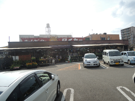 ホームセンター　ホームセンター　タイセー（ホームセンター）まで813m