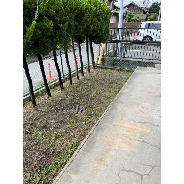庭