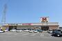 スーパー　ハローズ 北島店（スーパー）まで801m
