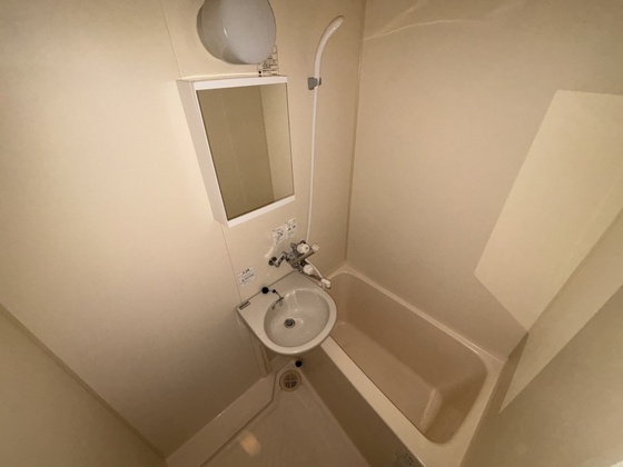 バス・シャワールーム　※別部屋の写真です