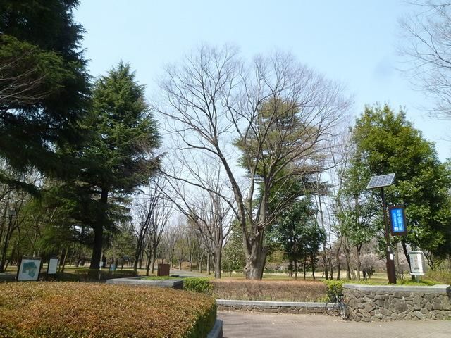公園　府中の森公園（公園）まで300m