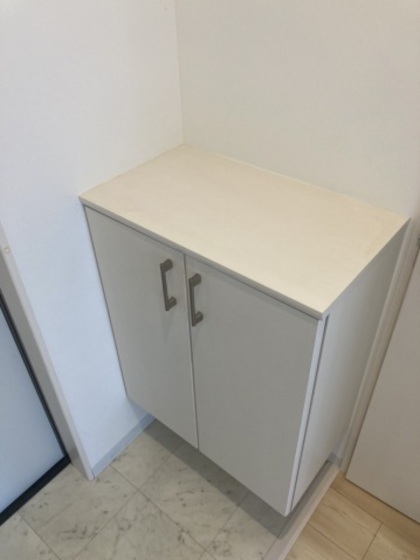 玄関　他号室のお写真です