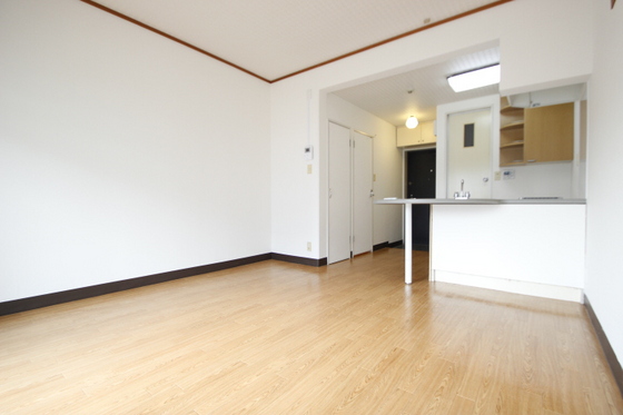 居室・リビング　※別部屋の写真です