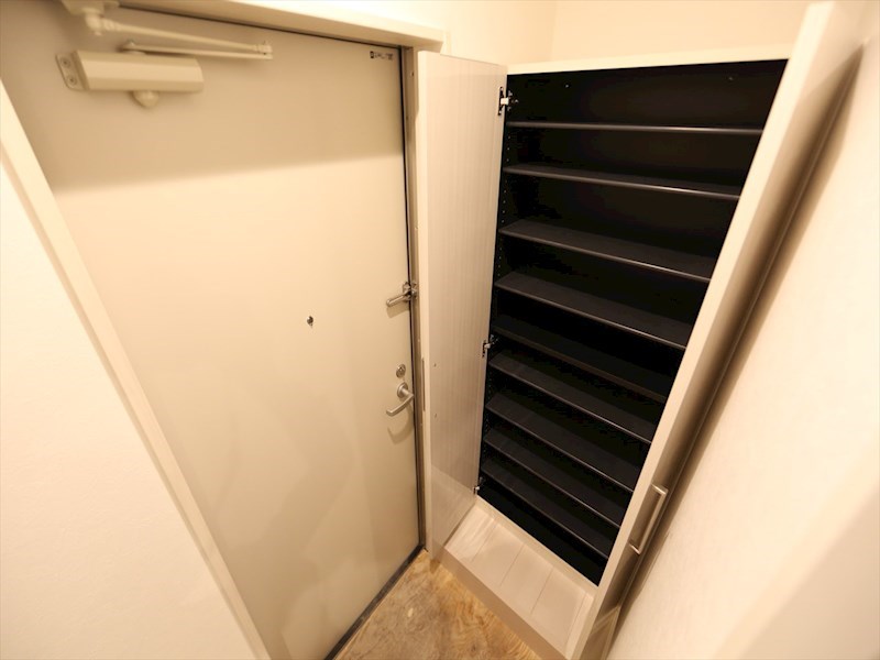 玄関　シューズボックス　（収納充実しています）同型写真